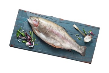 Kirjolohi Suomi tarjous